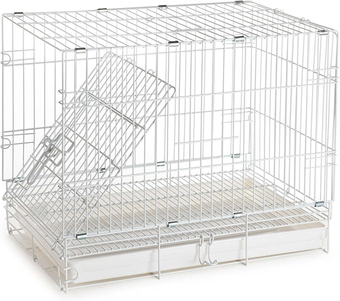 Large Portable Durable Metal Travel or Veterinary Easy Collapsable Parrot Bird Carrier Beaks Proof Carrier Cage Easy Clean Pull Out Tray Stainless Steel Feeder Bowls Natural Wooden Perch