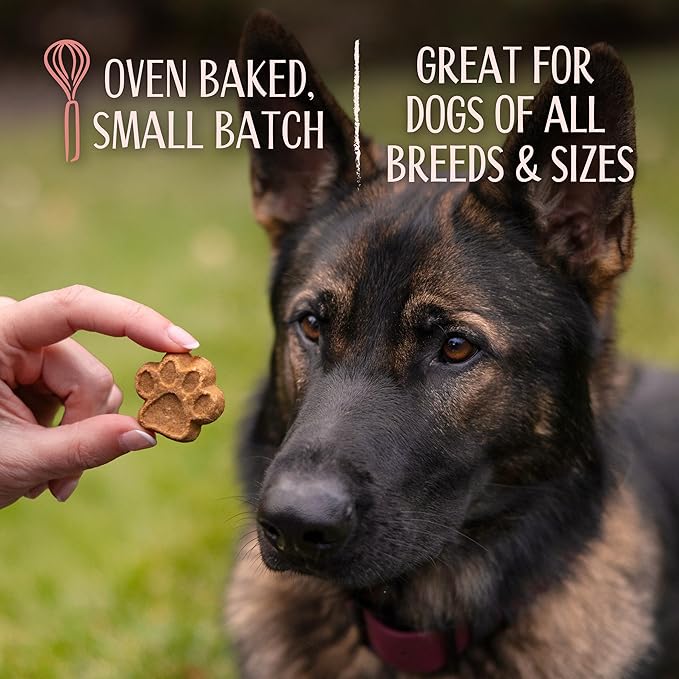 L'artisan Canine Barkerie Biscuits | Crunchy Dog Treats | French Recipes | Made in the USA | 8oz (Turkey)