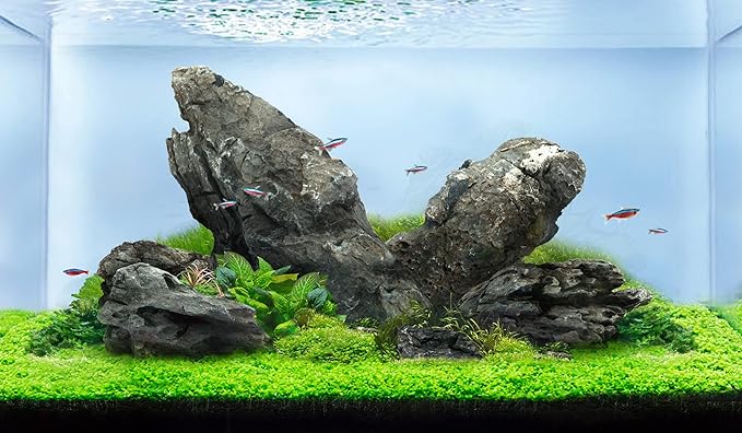 LANDEN Seiryu Stones Natural Rocks (17lbs, 3~11 inches,7-8pcs) for Aquarium, Paludarium, Terrariums, Landscaping Rocks, Aquascaping