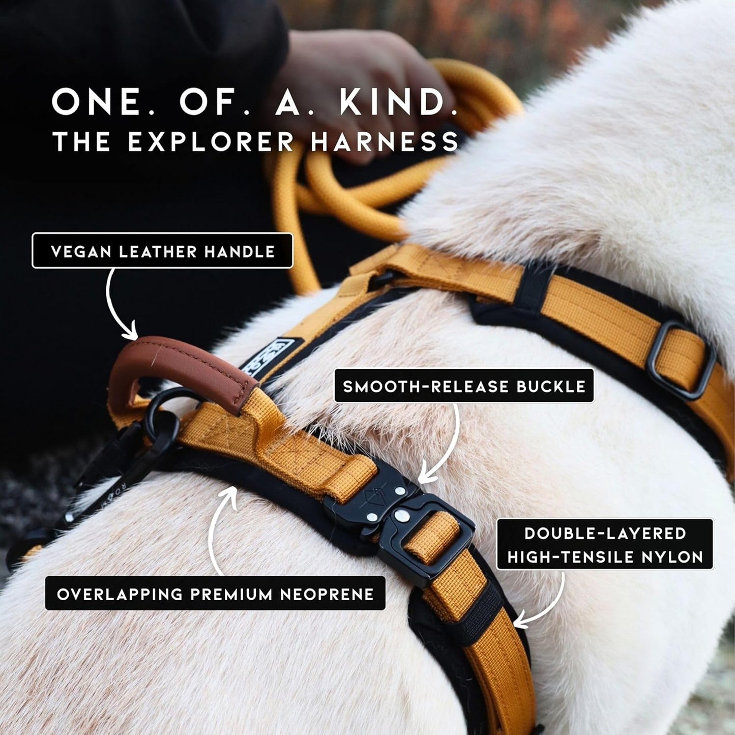 MADE TO ROAM Premium Explorer Harness - Y-Shaped Dog Harness with Adjustable Durable Nylon, Soft Padding, Metal Buckles and Leather Handle for Small, Medium, Large Dogs (Colorado Nightsky, Size 2)
