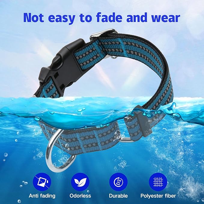Martingale Dog Collar, Adjustable Nylon Reflective Collar with Quick Release Buckle (Gentian Blue, Medium)