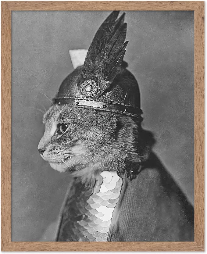 Poster Master Vintage Armored Cat