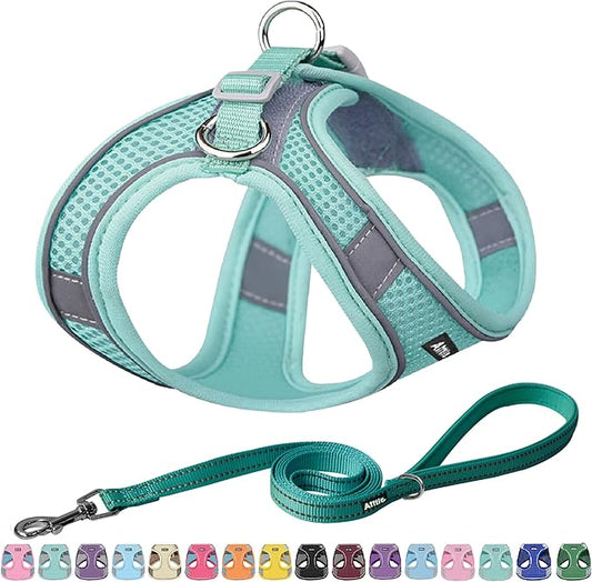 AIITLE Comfortable Dog Harness and Leash Set for Walking - Step in Vest Harness,Reflective Bands, Adjustable No Pull Puppy Essentials, for Small Dogs and House Cats Pure Turquoise XS