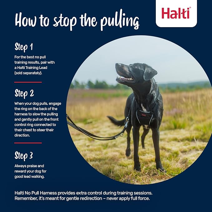 Halti No Pull Harness - Stop Your Dog Pulling on The Leash. Adjustable, Lightweight and Easy to Use. Reflective Dog Training Harness for Toy and Small Dogs (Size XS, Desert Sand)