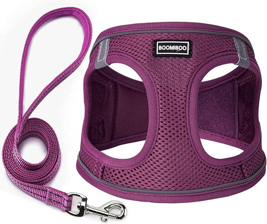 Dog Harness with Leash Set, No Pull Adjustable Reflective Step-in Puppy Pet Vest Harnesses for Small Medium Large Dogs and Cats,Cranberry XS