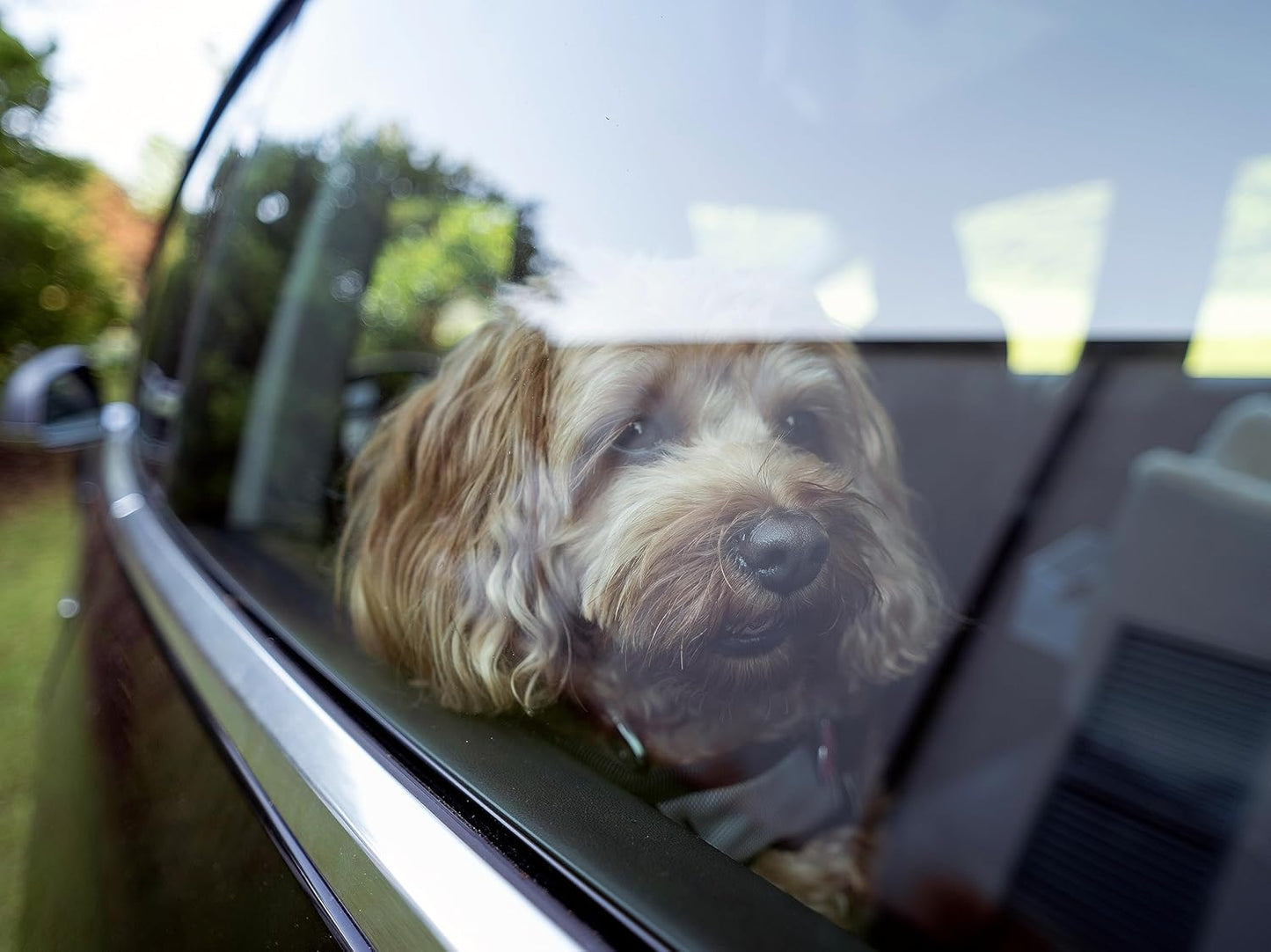 Snoozer Lookout Dog Booster Seat: Small (5-15 lbs), Camel Merlin Fabric, Alleviates Car Sickness, Machine Washable Cover