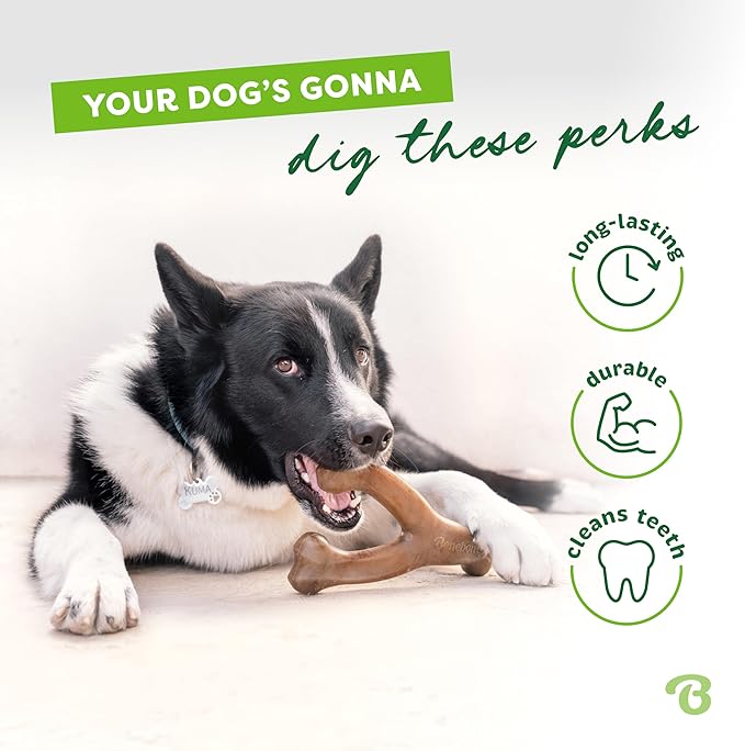 Benebone Large 3-Pack, Wishbone Durable Dog Chew Toy for Aggressive Chewers, Real Bacon, Chicken, Peanut Butter, Made in USA, Variety Pack