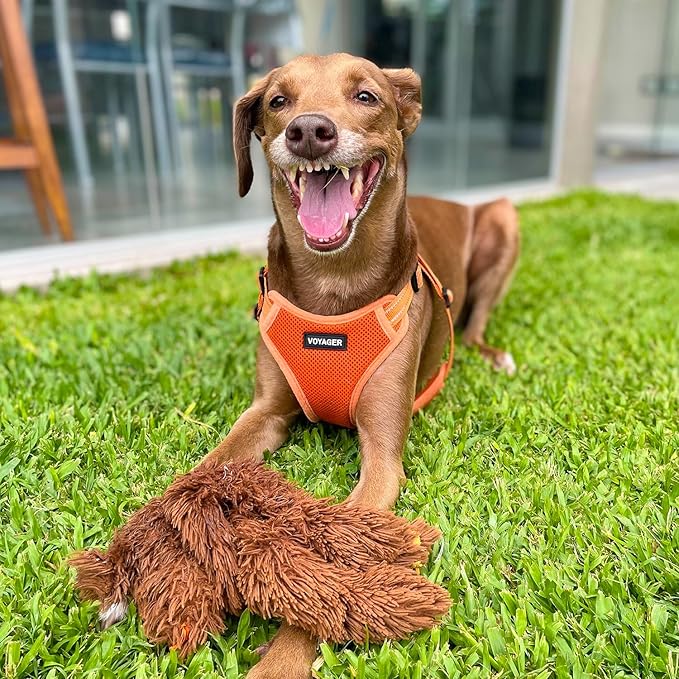 Best Pet Supplies Voyager Adjustable Step-in Flex Breathable Mesh Dog Harness for Small Medium Large Dogs Leash Set (Orange), S