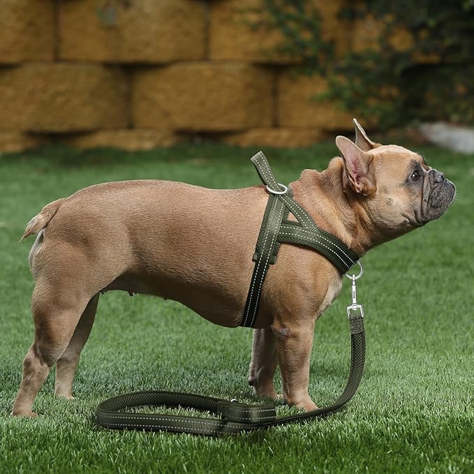 Plutus Pet No Pull Dog Harness with Breathable Mesh Padded, Adjustable Reflective Escape Proof Dog Harness, Quick Fit Dog Vest Harness for Small Medium Large Dogs(L, Ranger Green)
