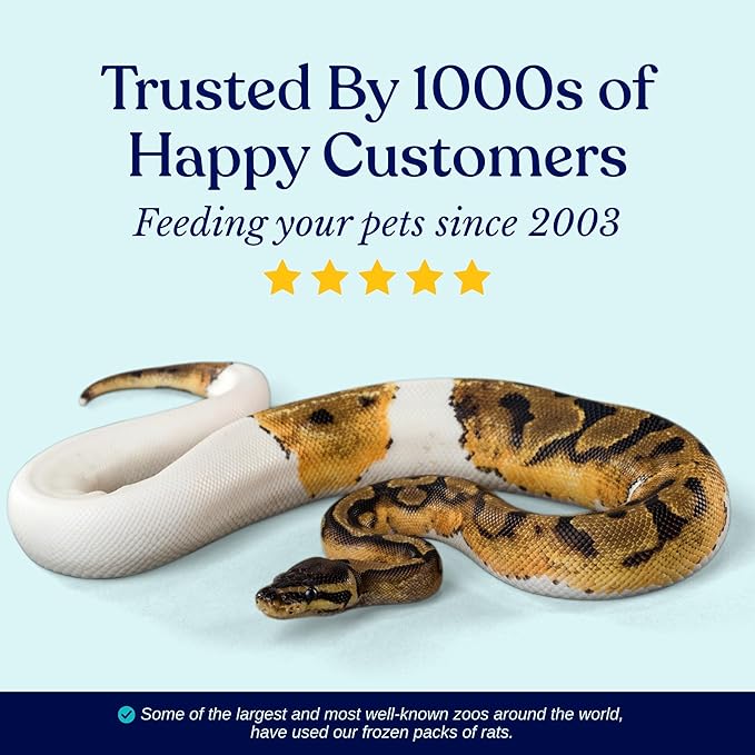 MiceDirect Frozen Rat Medium Feeder Food Adult Ball Pythons, Monitors, Lizards & Birds of Prey - 100 Grams (6-8 in Pack of 40)