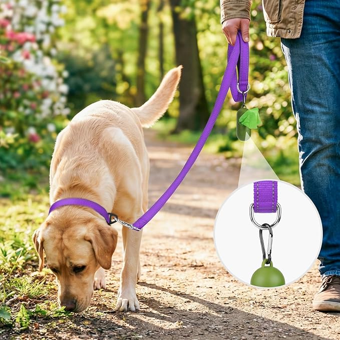 Joytale Dog Leash, 6 FT Double-Sided Reflective, Padded Handle Nylon Heavy Duty Leashes for Small Dogs Walking, Purple
