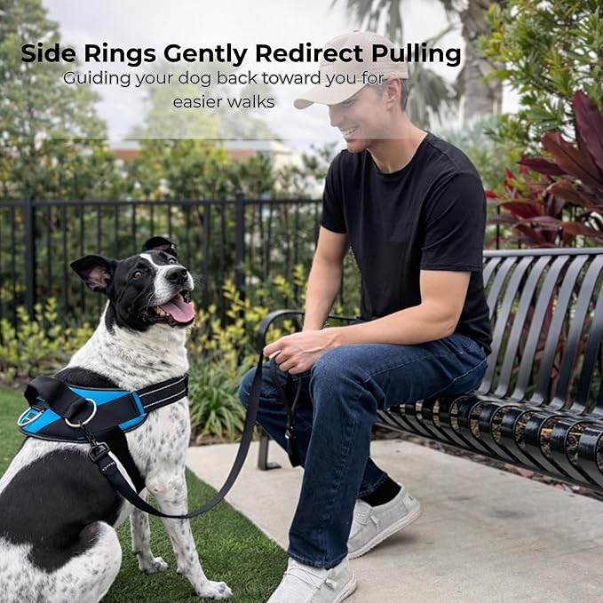 ShawnCo Essential Dog Harness, No-Pull Pet Vest with 3 Leash Clips, No Choke, Reflective, Adjustable and Padded, for Easy Walking and Training for Small, Medium and Large Dogs (Orchid, XL)
