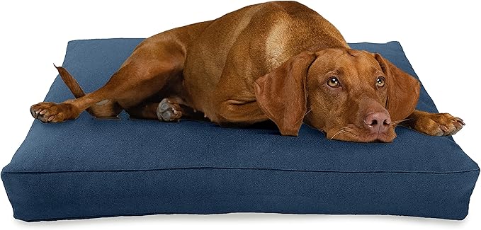 Large - 42 x 28 x 5 - Blueberry Premium Organic Hemp Dog Bed - Organic Latex Fill - Removeable Cover