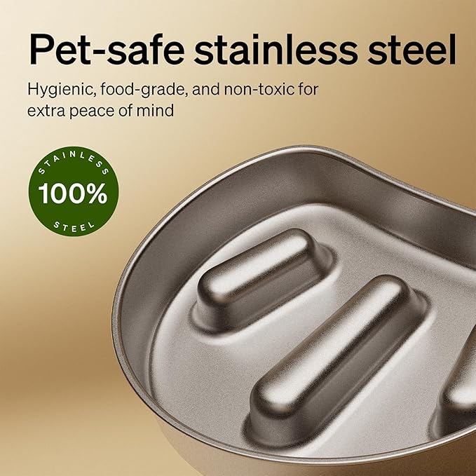 Bundle of PETLIBRO Automatic Cat Feeder with Camera, 1080P HD Video with Night Vision + PETLIBRO Slow Feeder Bowl for Small Dogs & Cats, 1.125 Cup— Anti-Gulp Stainless Steel Dog & Cat Bowl
