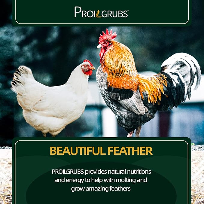 PROILGRUBS 5 LBS All Natural Dried Black Soldier Fly Larvae Treats- Non-GMO-Dried Grubs for Chickens - High Protein Meal Worms for Chickens, Hens, Birds