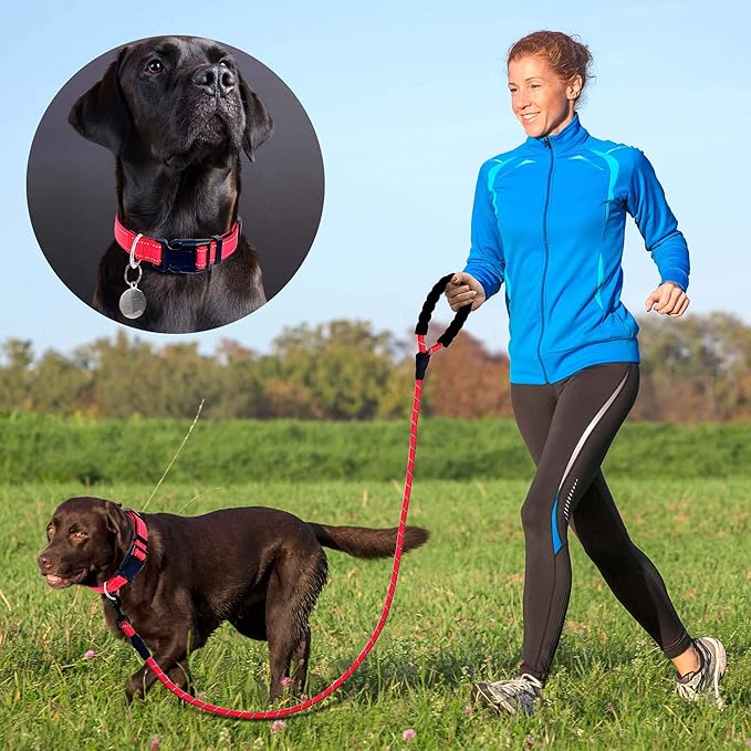 Reflective Dog Collar Padded with Soft Neoprene Breathable Adjustable Nylon Dog Collars for Small Medium Large Dogs (Medium (Pack of 1), Red Collar+Leash)