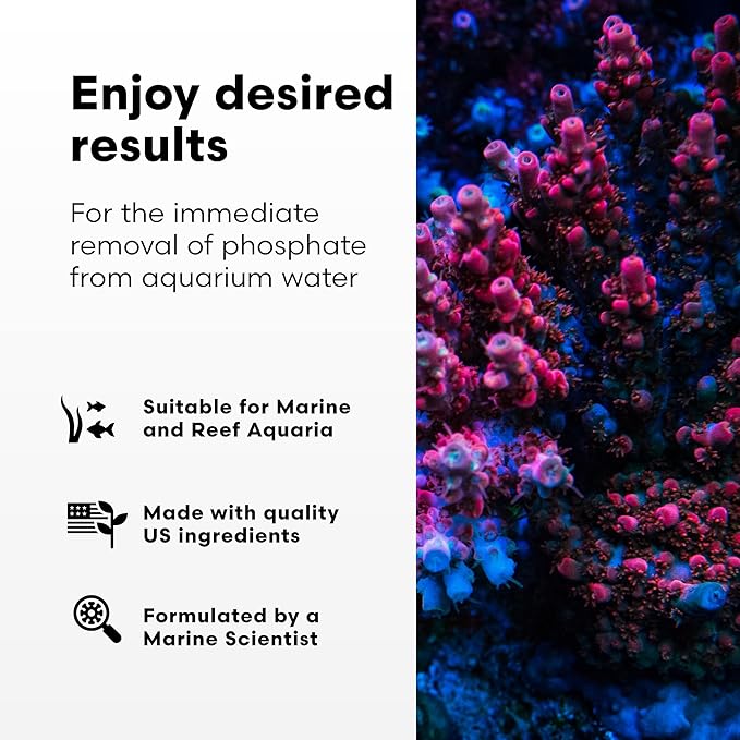 Brightwell Aquatics Phosphat-E Liquid Phosphate Remover for Marine Fish and Reef Aquariums - Aquarium Water Treatments, 67.6 fl oz