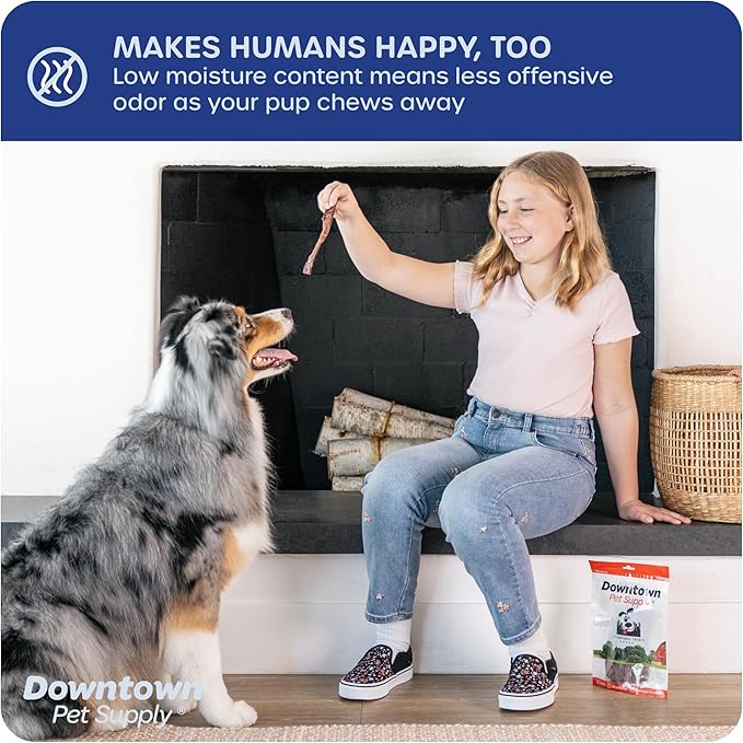 Downtown Pet Supply USA Sourced Bully Sticks for Dogs - Grass-fed Beef Chews, Low-Odor & Rawhide-Free, Long Lasting Dog Treats - Healthy, Safe & Delicious Chews (6" 30 Pack)