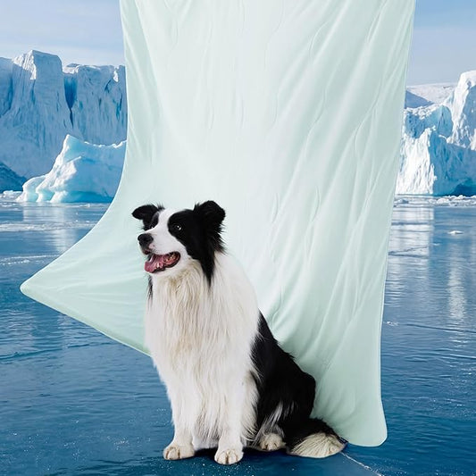 Bedsure Cooling Blanket for Large Dogs with Breathable Air-Core Fill Q-MAX>0.4 - Lightweight Pet Cat Throw Cold Blanket Washable for Summer，Soft Dog Cooling Mat for Couch Bed, Pale Jade, 50x60