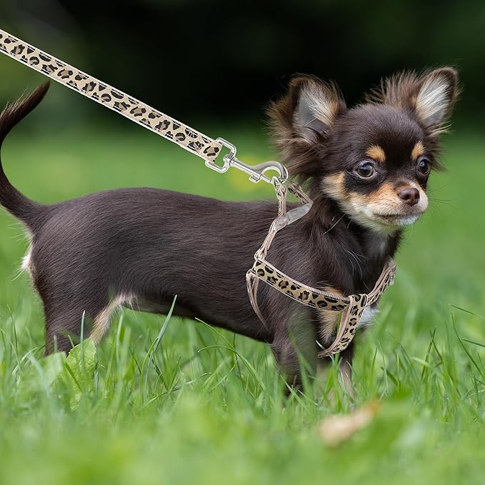 Mile High Life Leopard Dog Harness Collar Leash Set, Adjustable No Pull Dog Halter Harness for Small Breed Dogs, Easy Control for Training Walking (Beige, XS Chest 9"-15", Neck 8"-12")