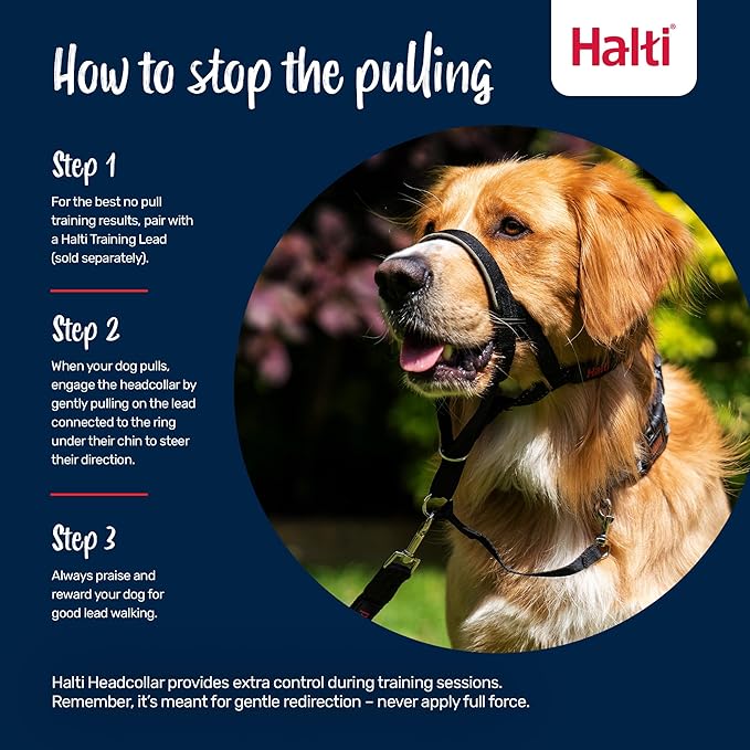 Halti Headcollar - Stop Your Dog Pulling on The Leash. Adjustable, Reflective and Lightweight, with Padded Nose Band. Dog Training Anti-Pull Collar for Medium Dogs (Size 2, Burnt Orange)