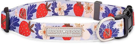 Lucky Love Dog - Adjustable Dog Collar with Easy Click Buckle for Small Ones, Durable, & Comfortable for Male & Female Dogs, Pet Collar for Puppies & Adult Dogs - Sweet Berry, Extra Small