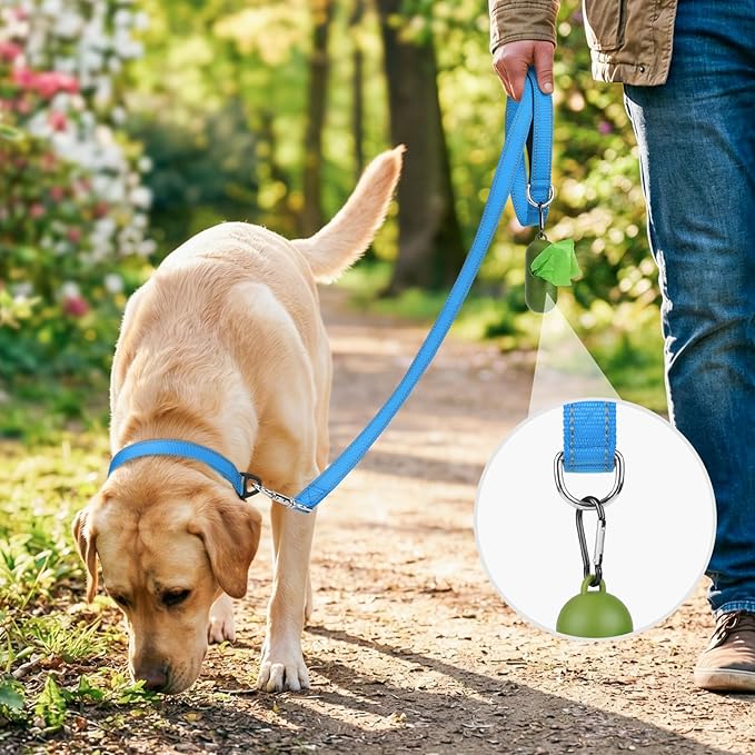 Joytale Dog Leash, 5 FT Double-Sided Reflective, Padded Handle Nylon Heavy Duty Leashes for Small Dogs Walking, Sky Blue