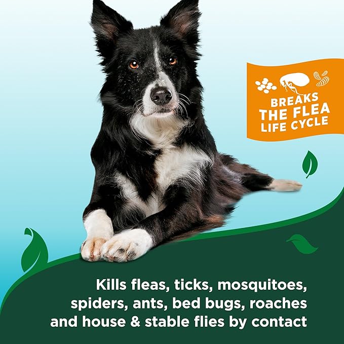 Vet’s Best Waterless Flea and Tick Dog Bath – Natural Flea & Tick Prevention – Dog Dry Shampoo Spray with Essential Oils – Kills Pests on Contact – Made in USA – 8 oz