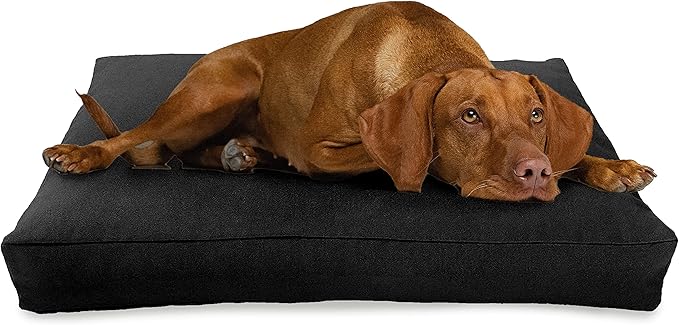XX-Large - 54 x 36 x 6 - Black Premium Organic Hemp Dog Bed - Organic Latex Fill - Removeable Cover