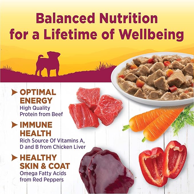 Wellness Petite Entrees Mini Fillets Grain Free Natural Wet Small Breed Dog Food, Roasted Beef, Carrots & Red Peppers, 3-Ounce Cup (Pack of 24)