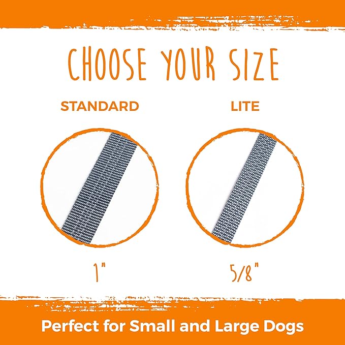 Mighty Paw Double Dog Leash - Double Leash for Two Dogs No Tangle Design. Split Lead for 2 Pets. Adjustable to Fit All Sized Breeds. Reflective Dual Pet Lead for People with 2 Pups