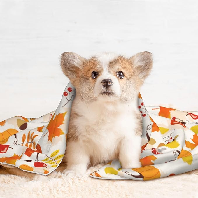 Fall Blanket for Dog Cat - Pumpkin Mushroom Throw Blanket 23x16 Halloween Autumn Pet Blanket for Couch Sofa Bed