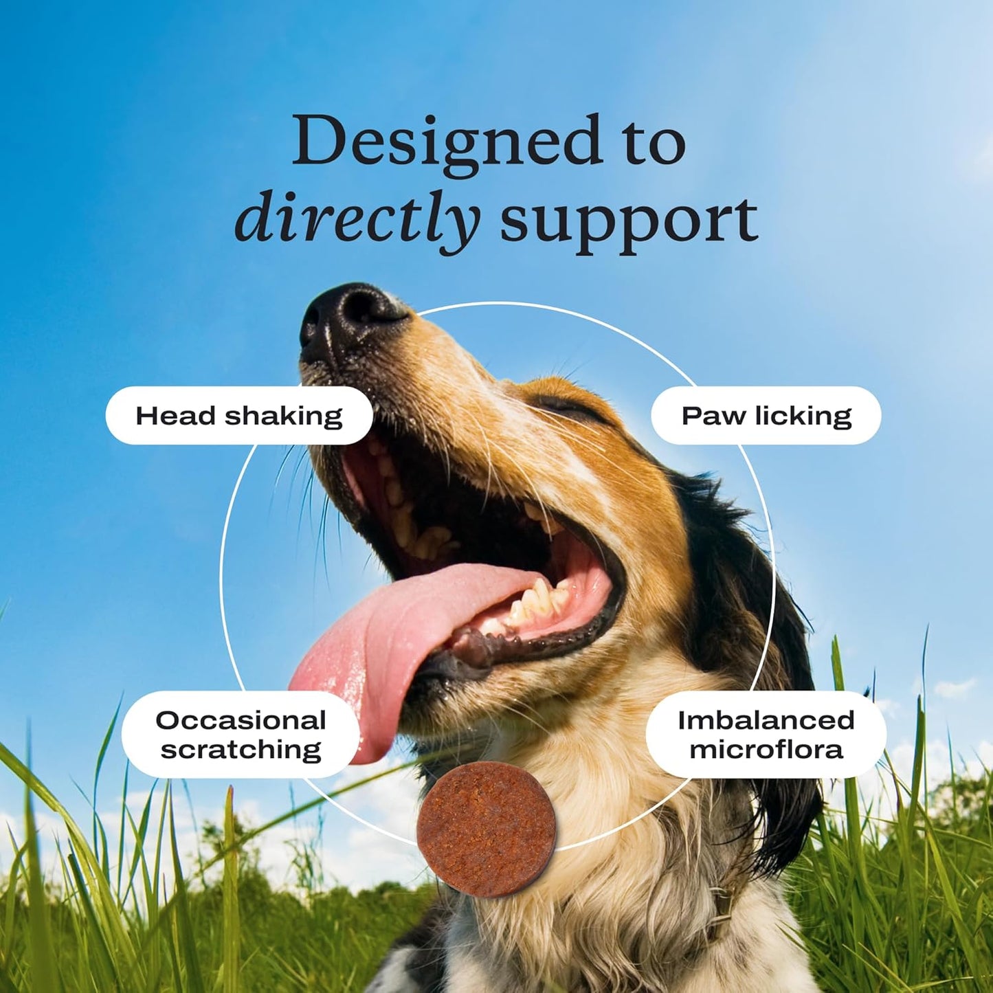 PetLab Co. Allergy & Immune Daily Probiotics for Dogs. Supports Yeast Production, Seasonal Allergies, Intermittent Itchiness, Gut & Digestive Health for Large Dogs - 30 Chews - Packaging May Vary