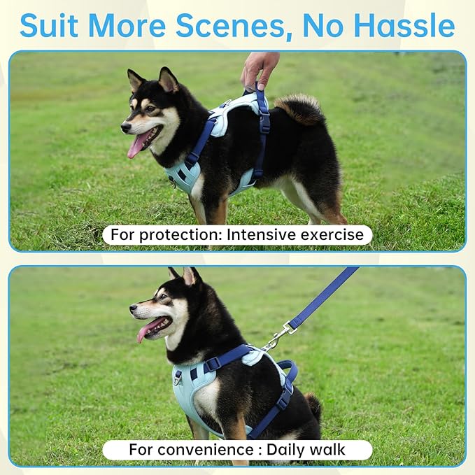 3 in 1 No Pull Dog Harness Leash and Collar Set, Soft Adjustable Dogs Vest Reflective and Comfortable Handle Blue Medium