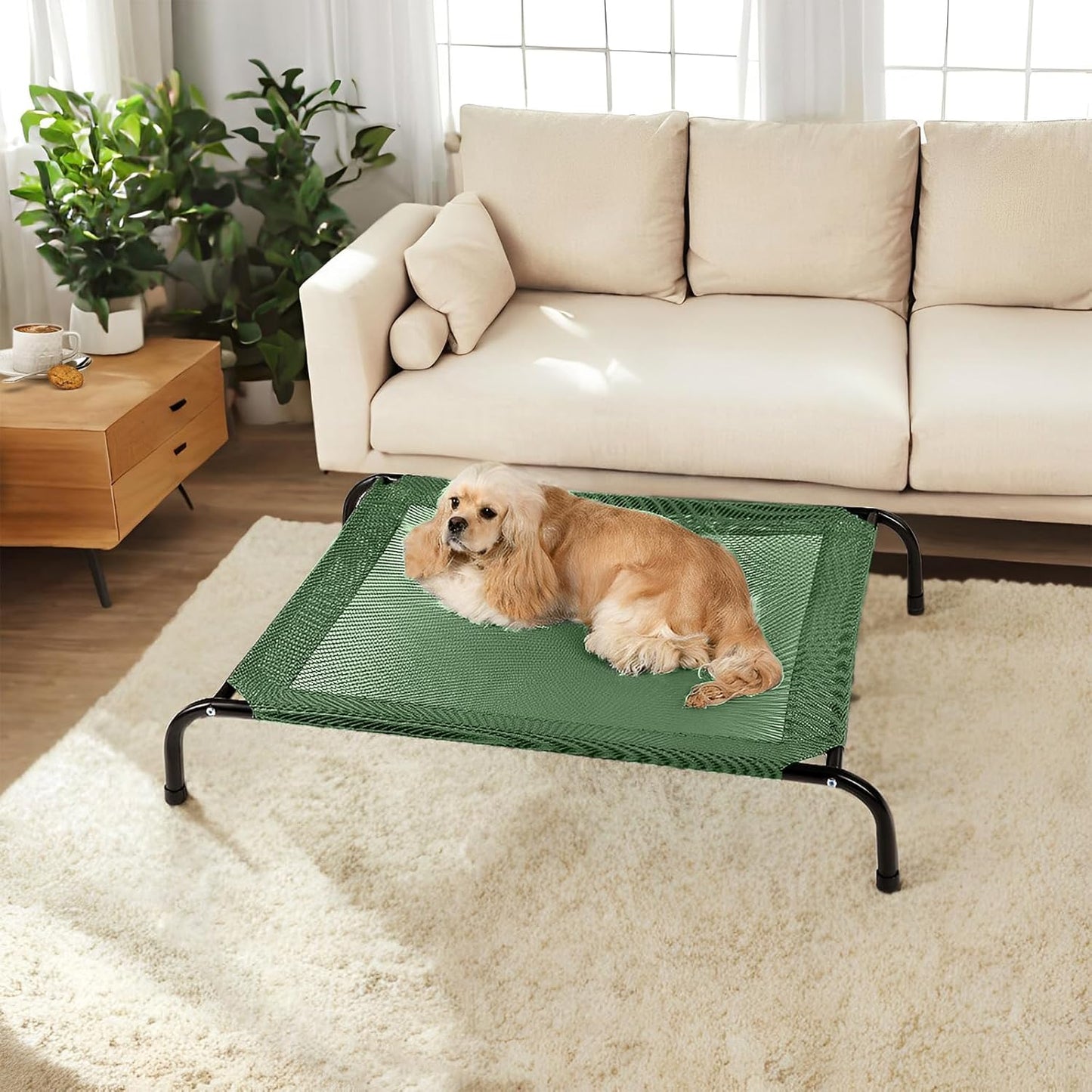 Cooling Elevated Dog Bed with Non-Slip Floor Protectors & Breathable Mesh, Raised Indoor & Outdoor Dog Cot Hammock, 41" L x 32" W x 8" Th, Medium, Green