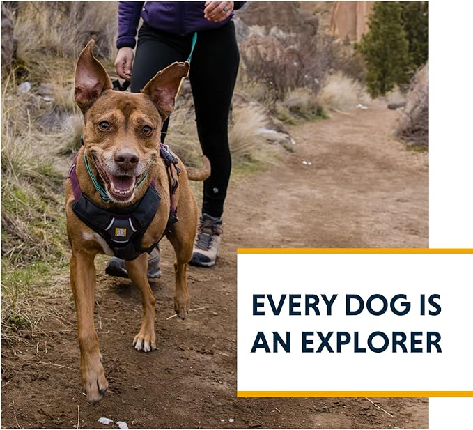 Ruffwear, Web Master, Multi-Use Support Dog Harness, Hiking and Trail Running, Service and Working, Everyday Wear, Blaze Orange, XX-Small