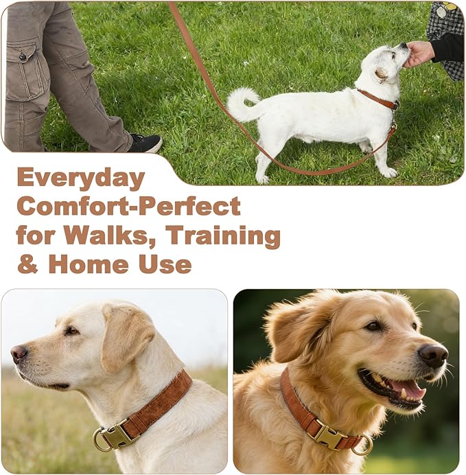 Genuine Leather Dog Collar - Adjustable Pet Collar with Quick Release Metal Buckle, Soft Skin Friendly Real Leather Collar for Small, Medium, Large Dogs (Khaki Collar + Rope, M：Fit 12-20" Neck)