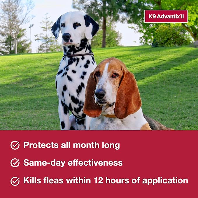 K9 Advantix II Large Dog Vet-Recommended Flea, Tick & Mosquito Treatment & Prevention | Dogs 21-55 lbs. | 4-Mo Supply (Pack of 2)