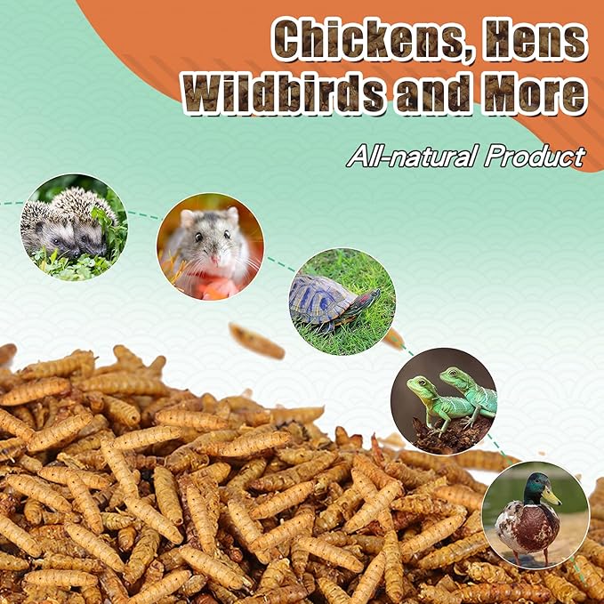 Dried Black Soldier Fly Larvae, 85X More Calcium Than Mealworms High-Protein BSF Larvae Chicken Treats Non-GMO BSFL for Chickens, Hens, Ducks, Wild Birds 5LBS