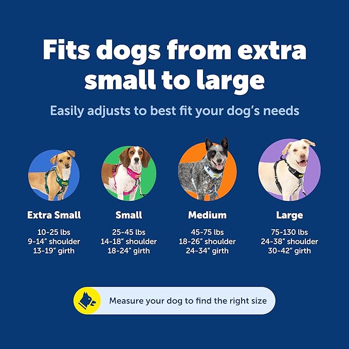 PetSafe Easy Walk Comfort No-Pull Dog Harness - Better Walk Training Harness - Full Body Padded Design - Durable Fabric - 5 Point Adjustable Fit - Everyday Leash Training - Blue - Large