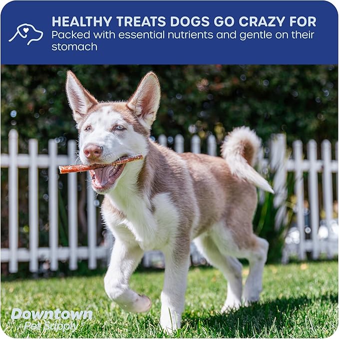 Downtown Pet Supply USA Sourced Bully Sticks for Dogs - Grass-fed Beef Chews, Low-Odor & Rawhide-Free, Long Lasting Dog Treats - Healthy, Safe & Delicious Chews (6" 30 Pack)