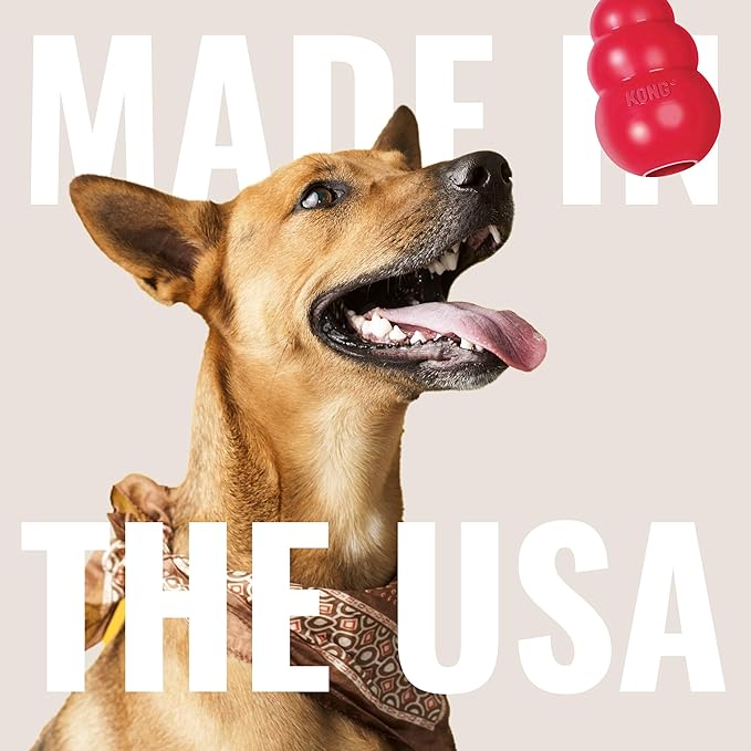 KONG Classic Stuffable Dog Toy - Fetch & Chew Toy for Dogs - Treat-Filling Capabilities & Erratic Bounce for Extended Play Time - Durable Natural Rubber Material - for Small Dogs (Pack of 2)