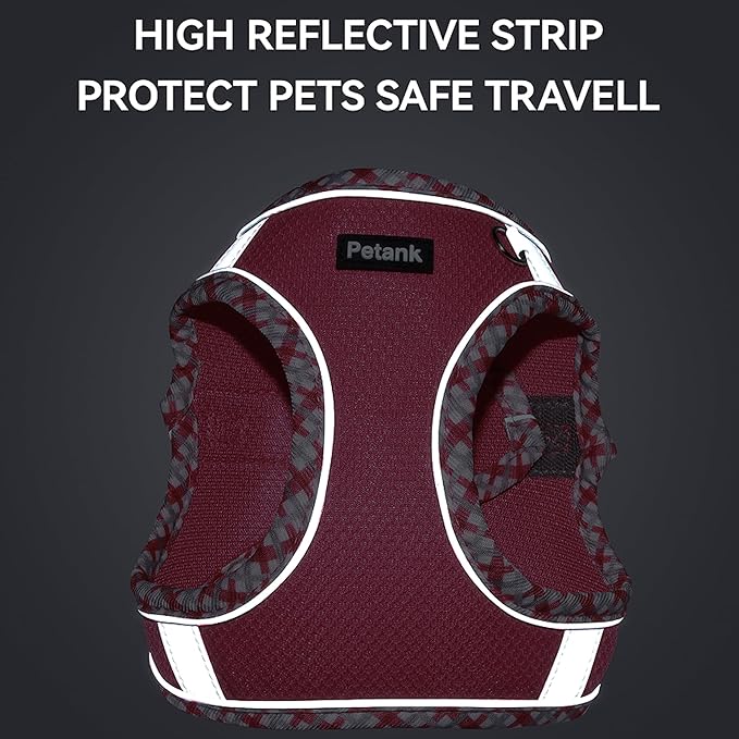Petank Dog Harness for Small Medium Dogs No Pull, Puppy Harness and Leash Set for Walking, Running, Training, Small Dog Harness, Medium Dog Harness (Rose Red, S)
