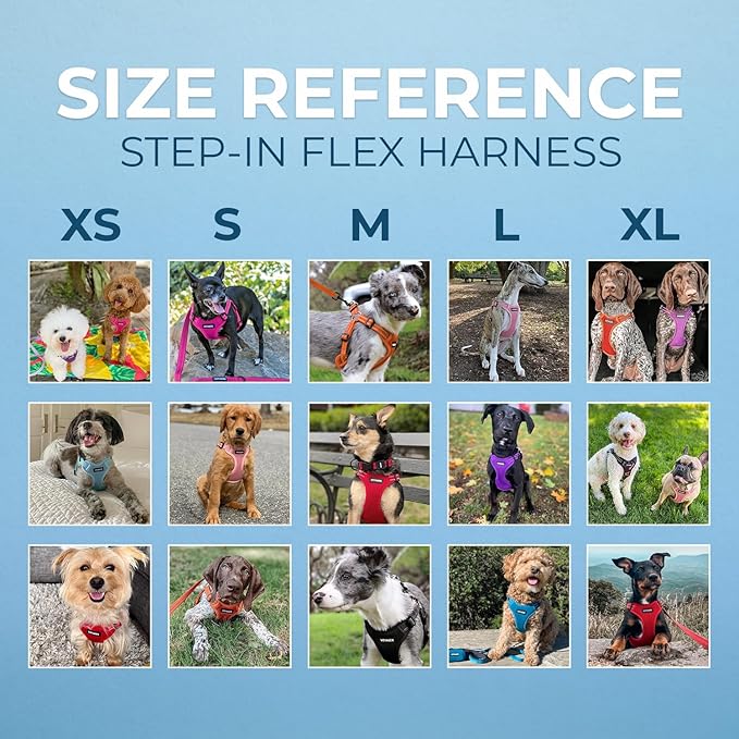 Best Pet Supplies Voyager Adjustable Step-In Flex Breathable Mesh Dog Harness for Small Medium Large Dogs (Pink), M