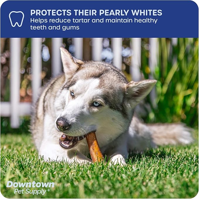 Downtown Pet Supply Jumbo Bully Sticks for Dogs - Natural Beef Chews, Low-Odor & Rawhide-Free, Long Lasting Dog Treats for Aggressive Chewers - Healthy, Safe & Delicious Chews Dogs Love (12" 5 Pack)