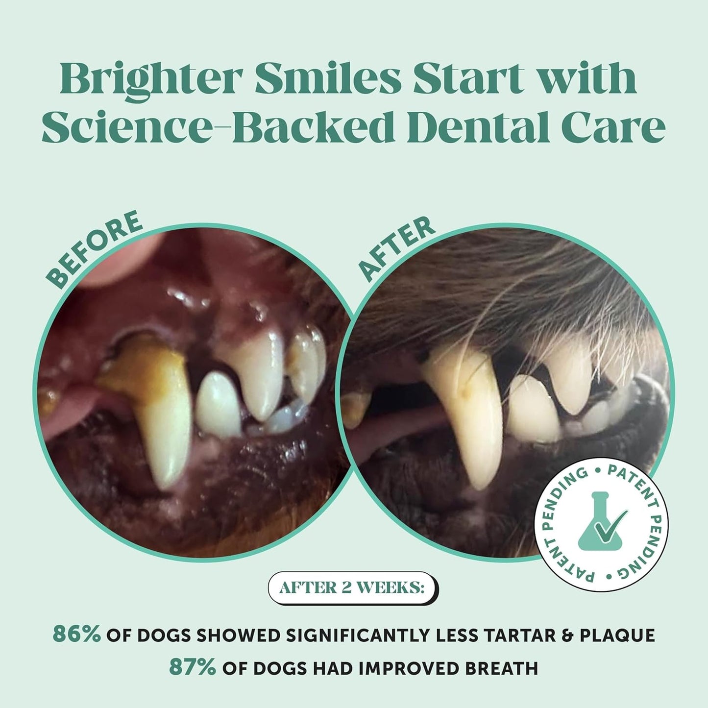 Dog Breath Freshener Dental Powder for Teeth Cleaning Plaque Off, Dental Care for Large Dogs, Tartar Remover for Teeth with Natural Herbal Blend + Postbiotics (Mint - 60 Servings)