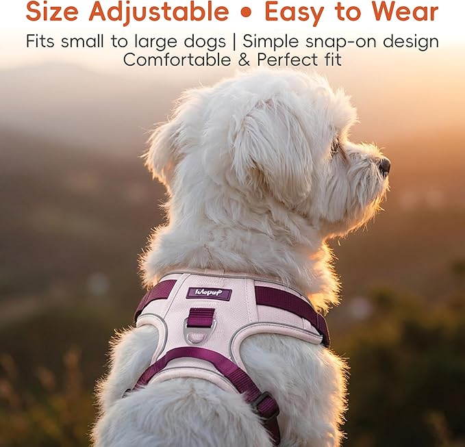 3 in 1 No Pull Dog Harness Leash and Collar Set, Soft Adjustable Dogs Vest Reflective and Comfortable Handle Pink Small