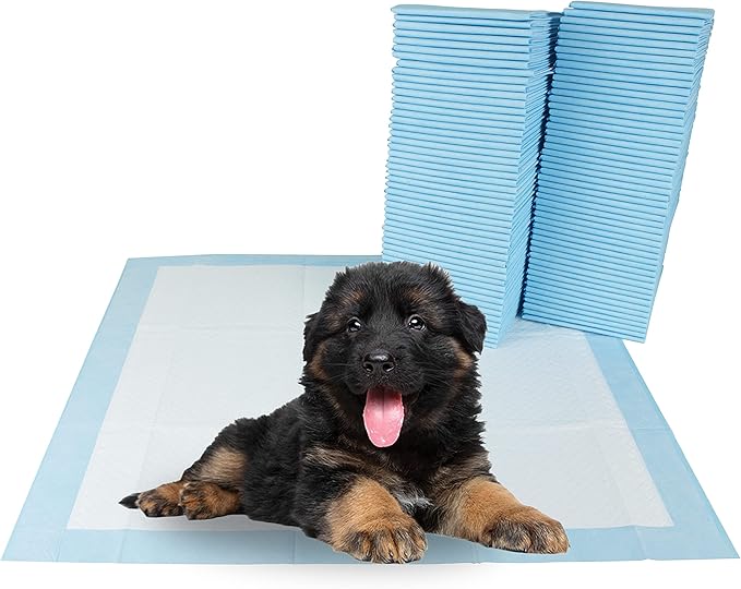 BV Puppy Pads Leak-Proof 50 Count 22"x 22" - Absorbent Pee Pads for Dogs with 6-Layer Design, Rapid Dry Sheet & Built-in Attractant - Dog Pad with Odor Control, Perfect for Puppies & Senior Dogs