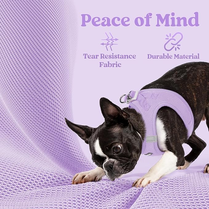 rabbitgoo Small Dog Harness, Step-in Soft Mesh Puppy Vest with Safety Buckle, Breathable Reflective Pet Harness for Small Sized Dogs, Light Purple S