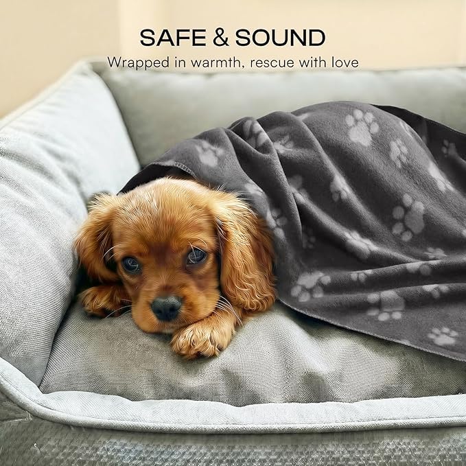 LINENLUX Cute Dog Blanket for Small Medium Dogs 6-Pack Soft Stretchy Fleece Blankets for Pet Cat Puppy Warm Wrinkle-Resistant Throw for Couch Bed Outdoor Grey 45x31 inch (Pack of 6)